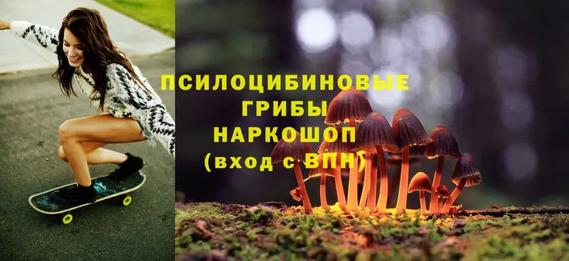 Галлюциногенные грибы Magic Shrooms  магазин  наркотиков  Старая Русса 